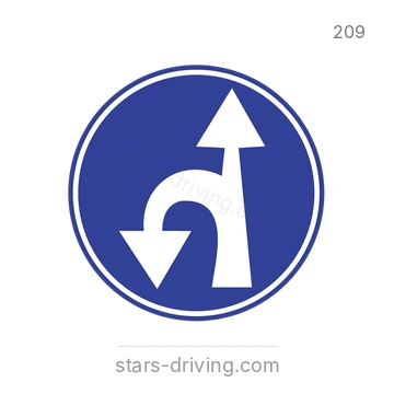شاخصة المرور رقم 209